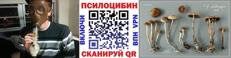 Псилоцибиновые грибы Magic Shrooms Ессентуки