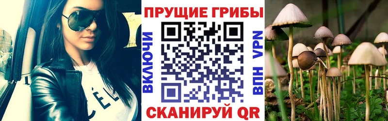 Псилоцибиновые грибы мухоморы  Ессентуки 