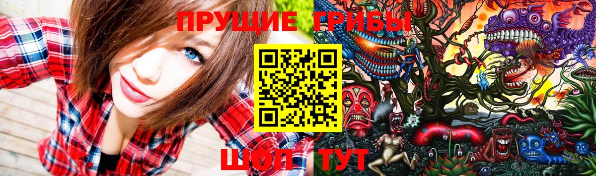 Ессентуки  Галлюциногенные грибы Psilocybine cubensis  Вход с VPN 