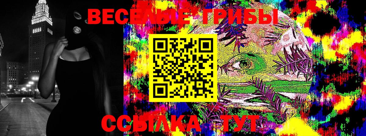 Псилоцибиновые грибы Psilocybe Ессентуки