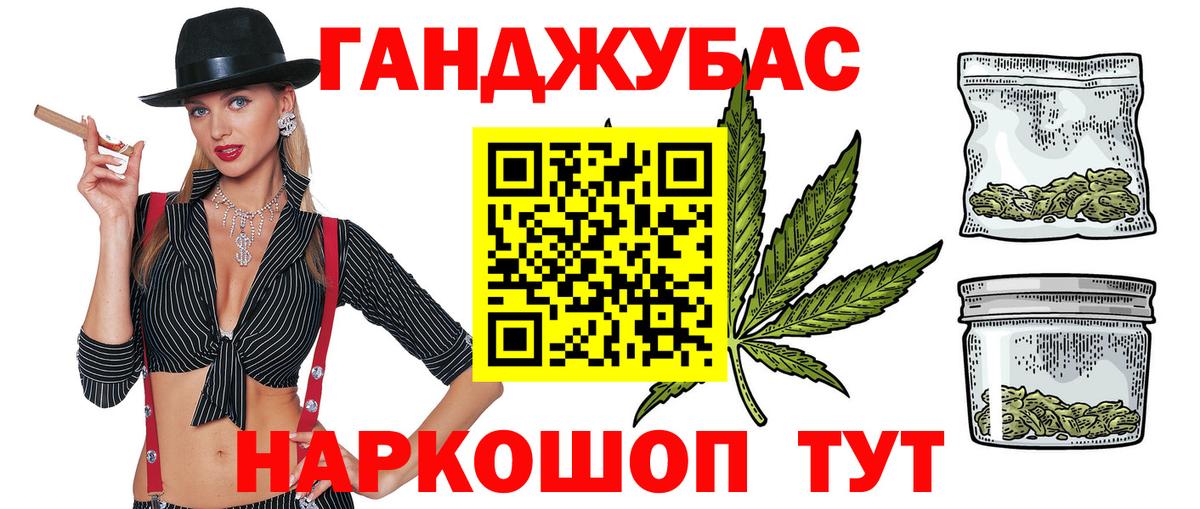 Каннабис сатива Ессентуки